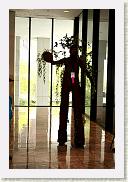 IMG_6848 * 1067 x 1600 * (247KB)